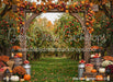 Ode to an Orchard Arch (CC)