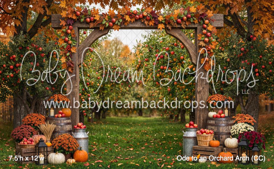 Ode to an Orchard Arch (CC)