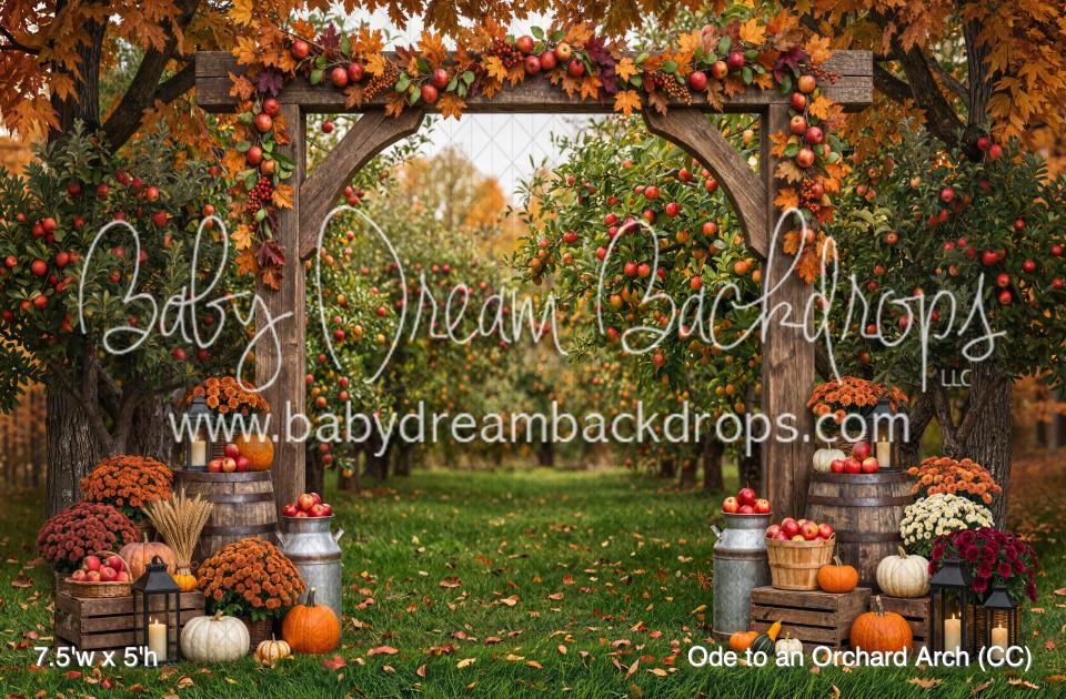 Ode to an Orchard Arch (CC)