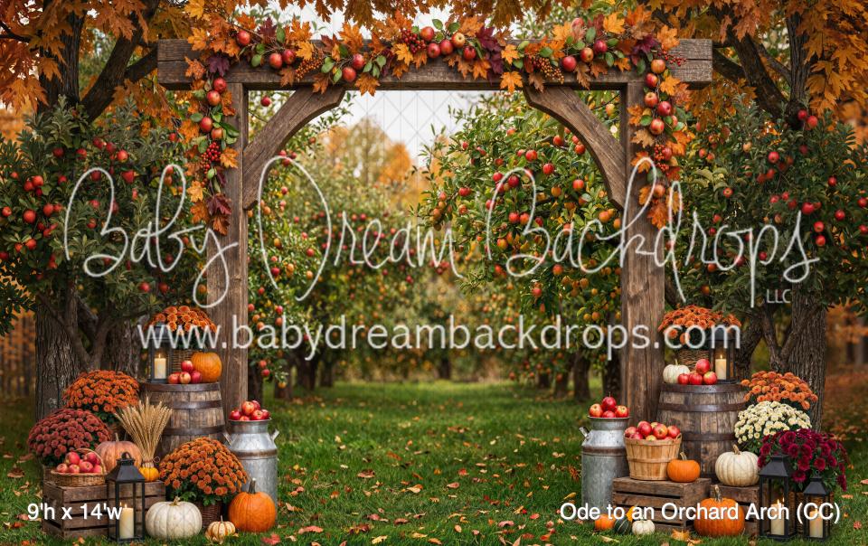 Ode to an Orchard Arch (CC)