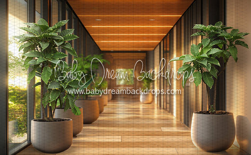 Office Hallway Greens (CC)