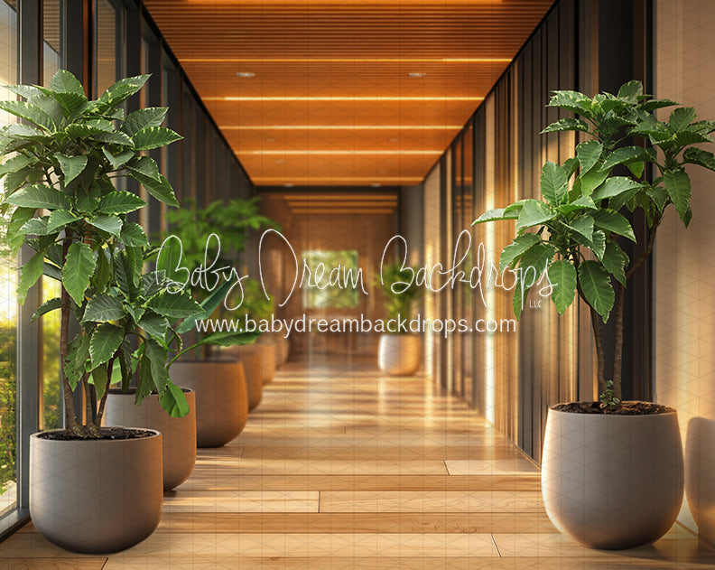 Office Hallway Greens (CC)