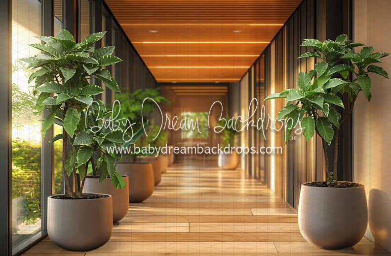 Office Hallway Greens (CC)