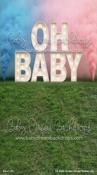 Oh Baby Smoke Reveal Sweep (JA)