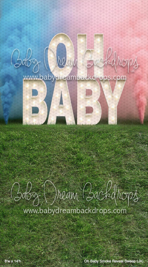 Oh Baby Smoke Reveal Sweep (JA)