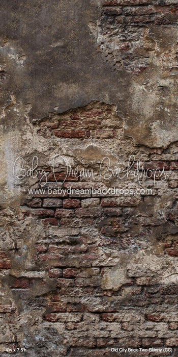 Old City Brick Two Skinny (CC)