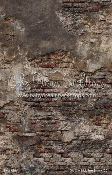 Old City Brick Two Skinny (CC)