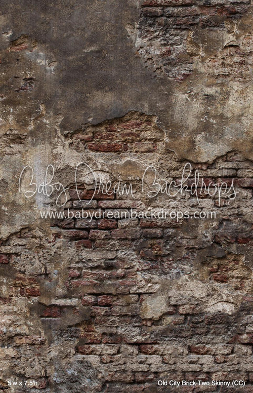 Old City Brick Two Skinny (CC)