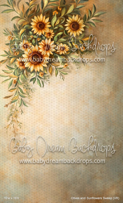 Olives and Sunflowers Sweep (VR)