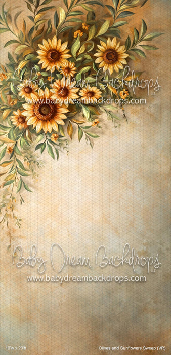 Olives and Sunflowers Sweep (VR)