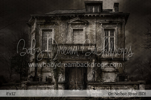 On Neibolt Street (BD)