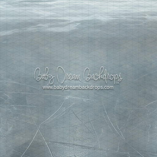 On the Ice Floor (CC)