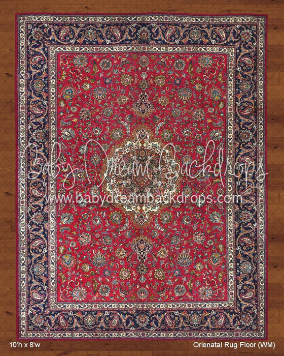 Orienatal Rug Fabric Floor (WM)