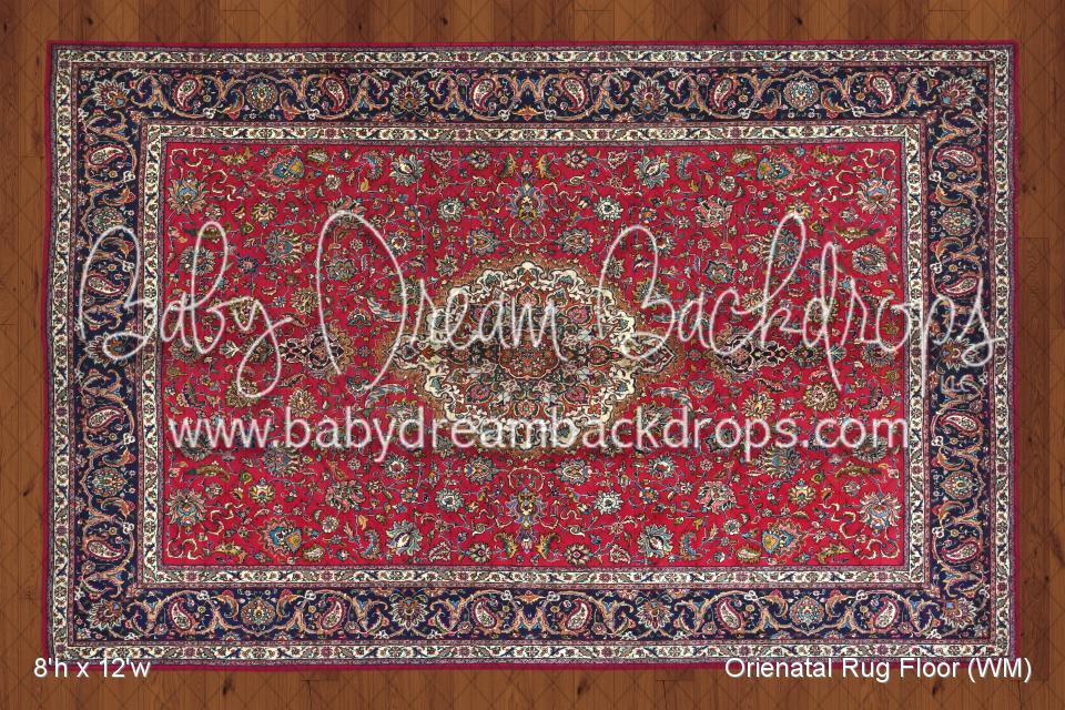 Orienatal Rug Fabric Floor (WM)