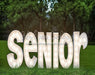 Outdoor Senior Party (JA)