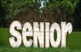 Outdoor Senior Party (JA)