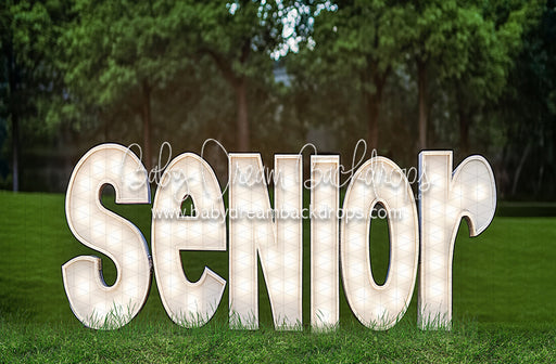 Outdoor Senior Party (JA)