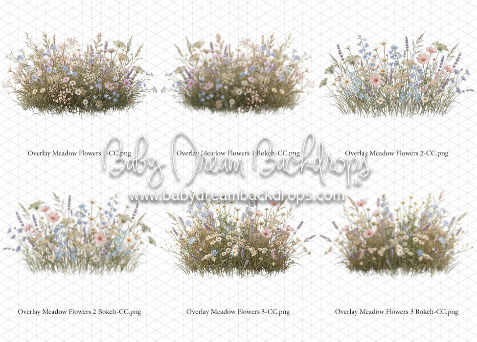 Overlays Meadow Flowers