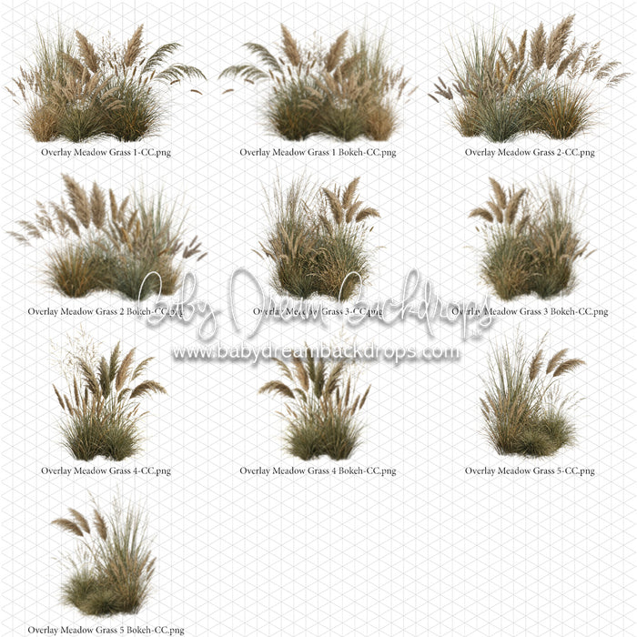 Overlays Meadow Grass