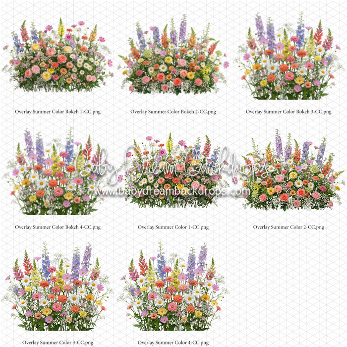 Overlays Summer Color