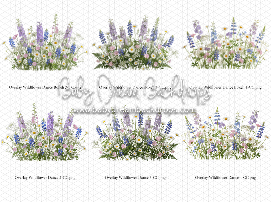 Overlays Wildflower Dance