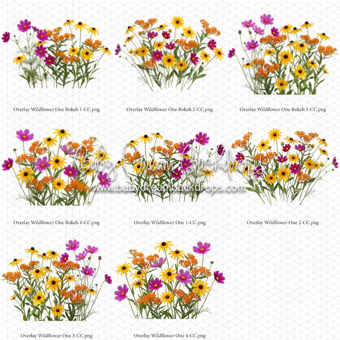 Overlays Wildflower One