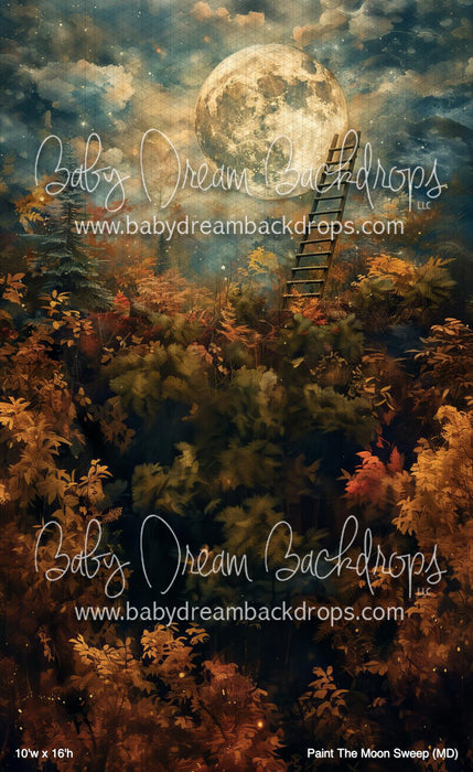 Paint The Moon Sweep (MD)