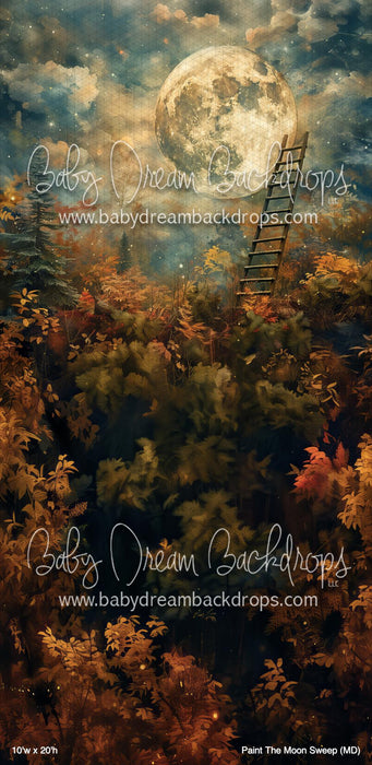 Paint The Moon Sweep (MD)