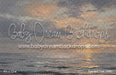 Painted Tide (WM)