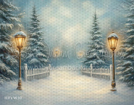 Painted Winter (CM)