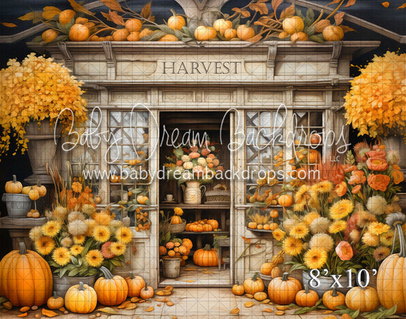 Painterly Harvest (VR)