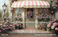 Painterly Pink Rose Cottage (MD)