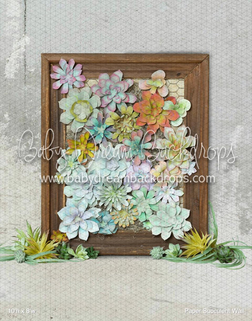 Paper Succulent Wall (BM)
