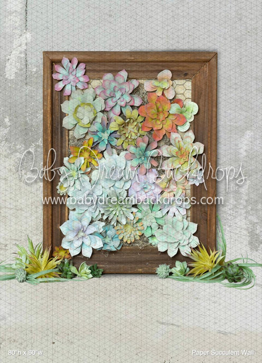 Paper Succulent Wall (BM)