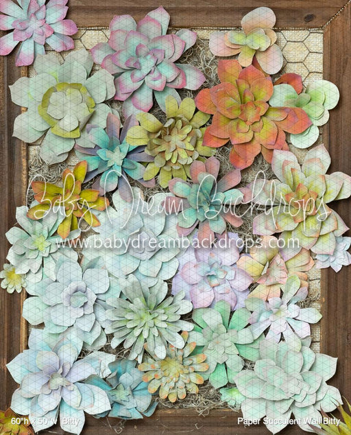 Paper Succulent Wall Bitty (BM)