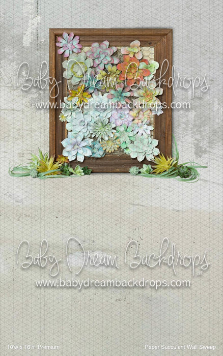 Paper Succulent Wall Sweep (BM)