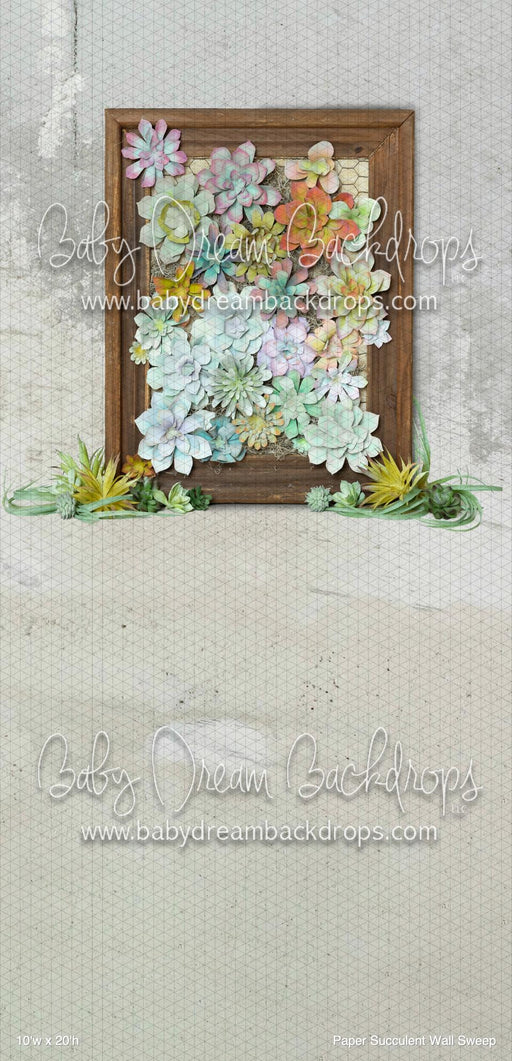 Paper Succulent Wall Sweep (BM)