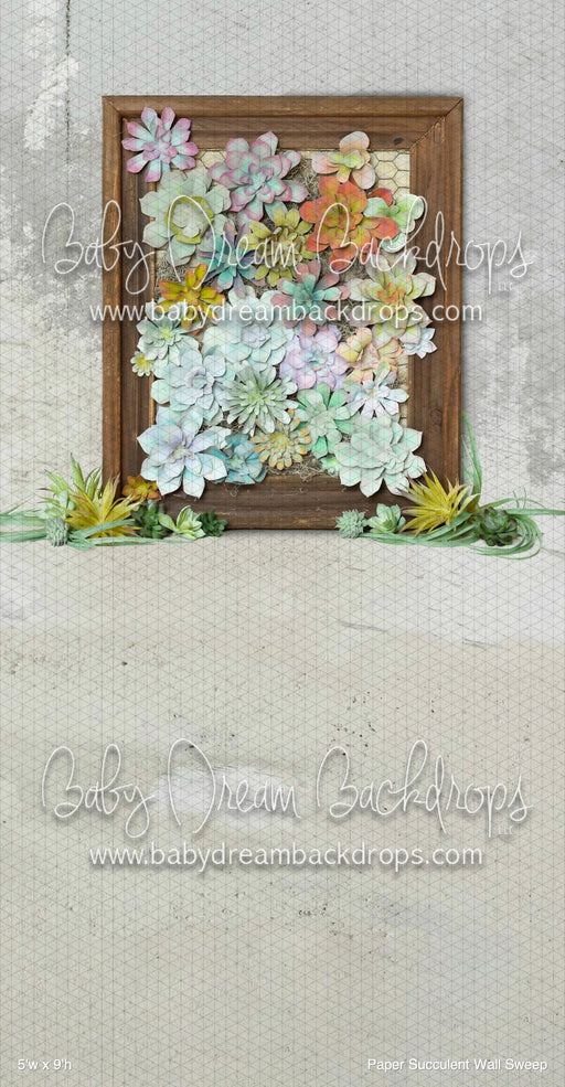 Paper Succulent Wall Sweep (BM)