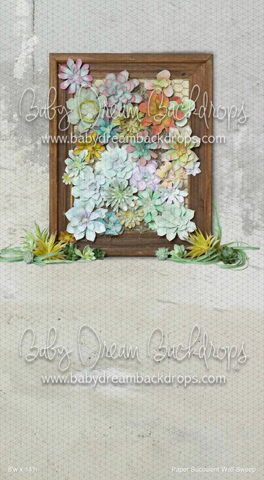 Paper Succulent Wall Sweep (BM)