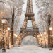 Paris for the Holidays Tower (JA)