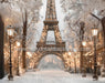 Paris for the Holidays Tower (JA)