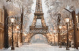 Paris for the Holidays Tower (JA)