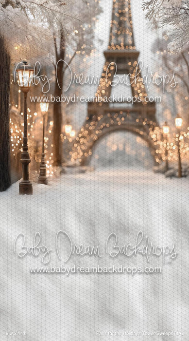 Paris for the Holidays Tower Sweeps (JA)