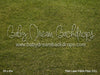 Park Lawn Fabric Floor (CC)