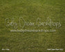 Park Lawn Fabric Floor (CC)