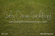 Park Lawn Floor (CC)