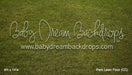 Park Lawn Fabric Floor (CC)