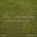 Park Lawn Fabric Floor (CC)