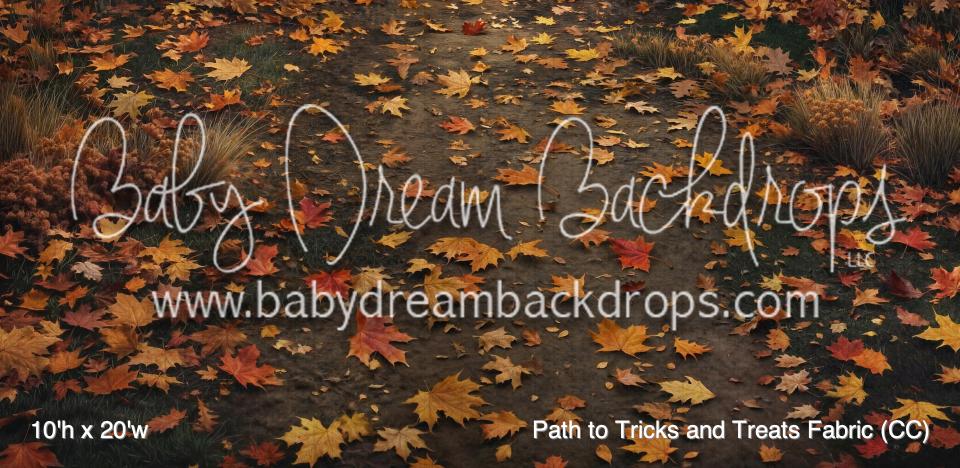 Path to Tricks and Treats Fabric Floor (CC)