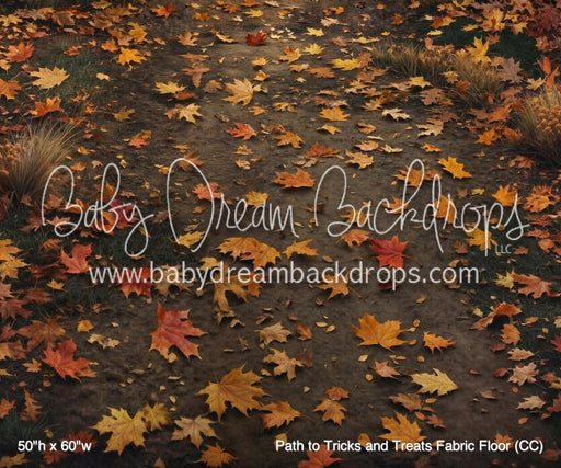 Path to Tricks and Treats Fabric Floor (CC)